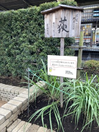 荻窪駅前