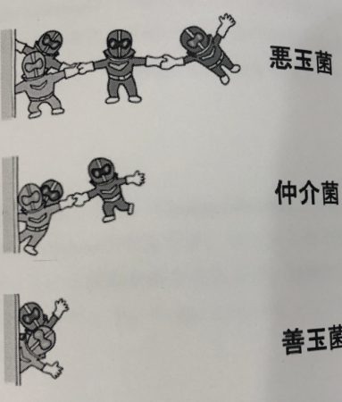 口腔内細菌