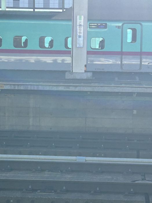 はやぶさ
